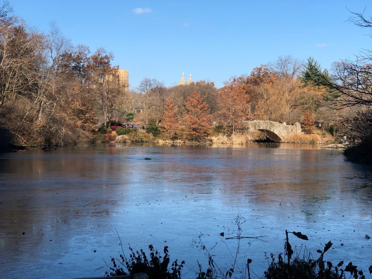Place Central Park