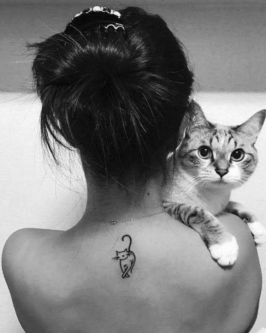 Fashion Tatto de pets