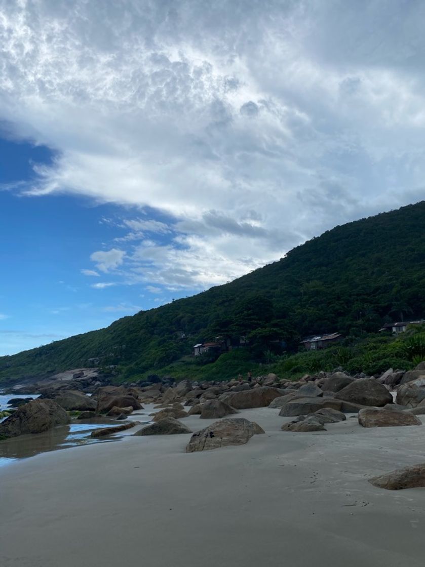 Lugar Praia do Saquinho