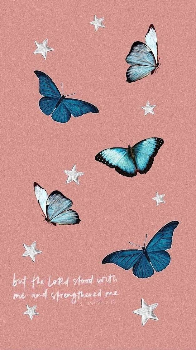 Fashion 🦋