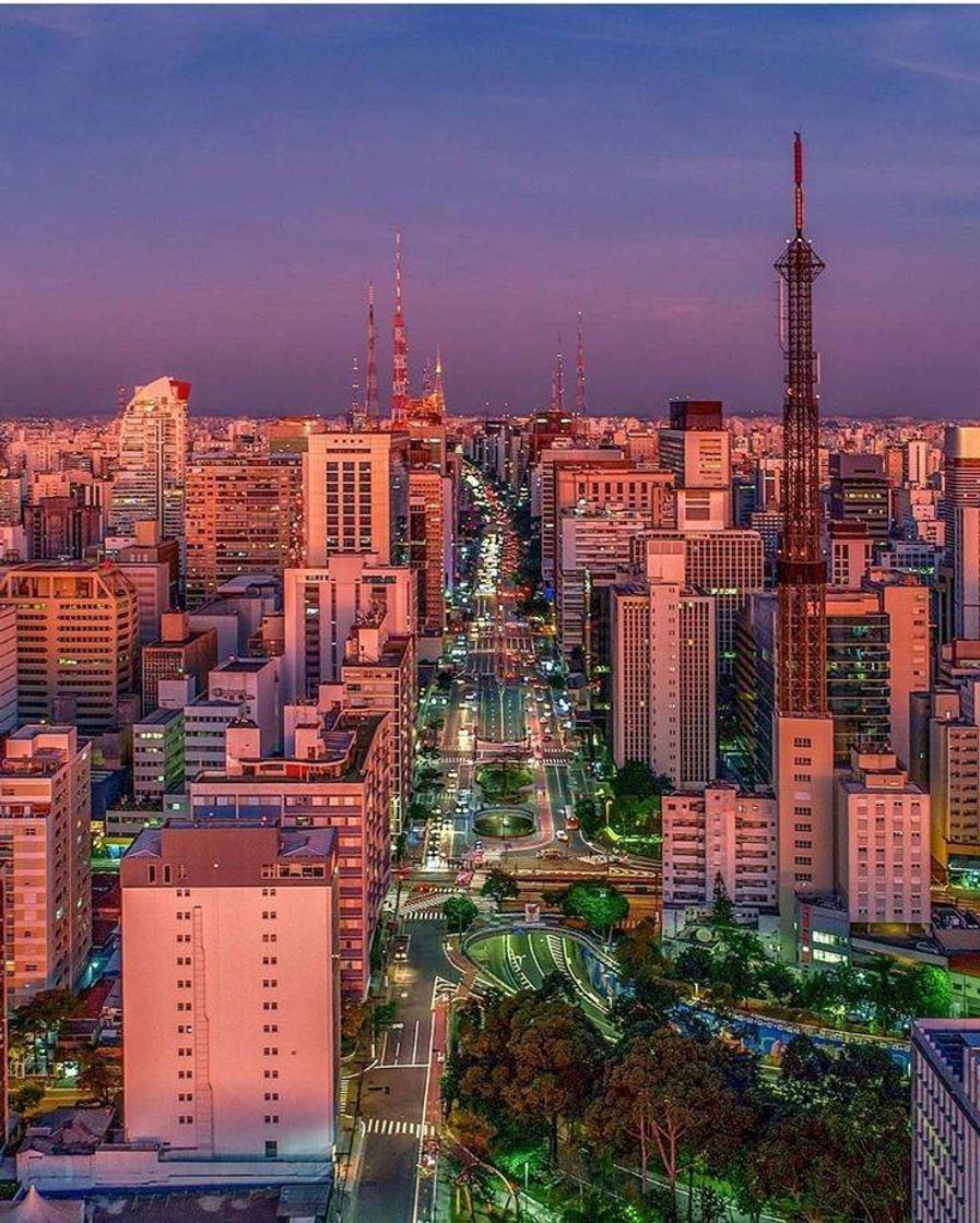 Places Avenida paulista