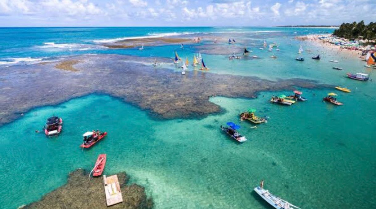 Place Porto de Galinhas