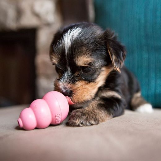 KONG - Puppy - Juguete de caucho natural para dentición - Cachorro