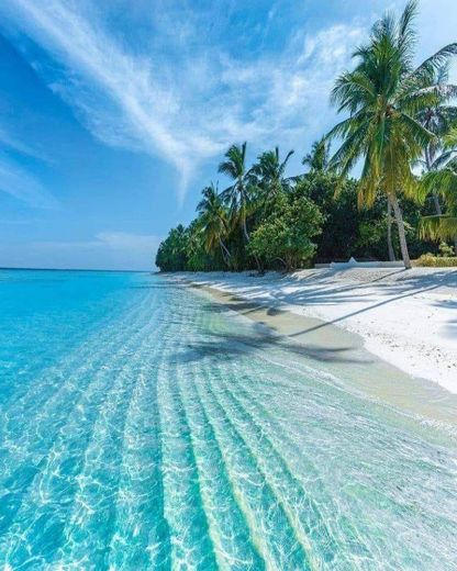 Maldivas 💜