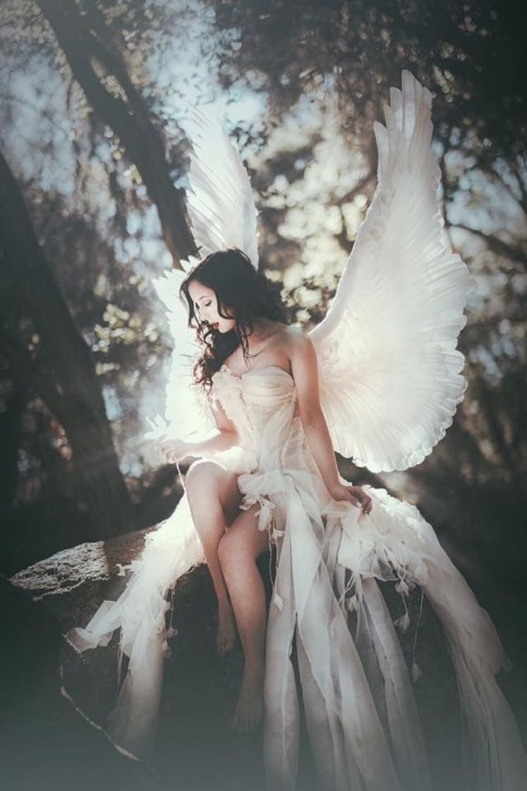 Fashion Fantasia anjo 