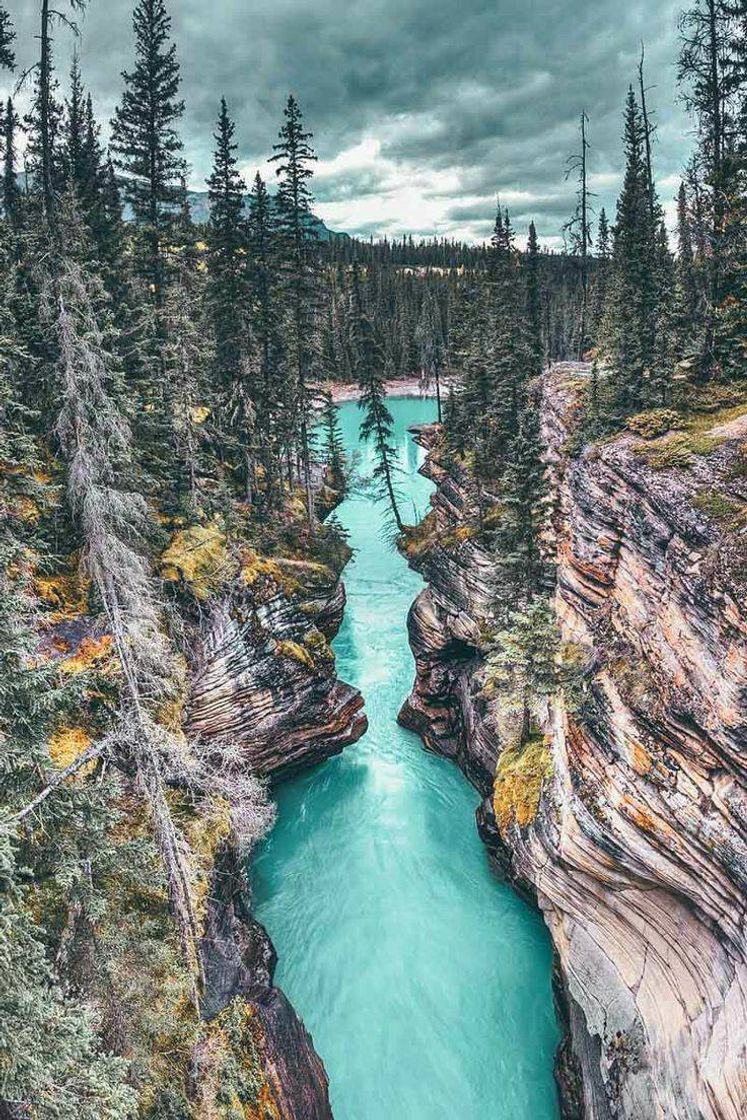 Moda Alberta, Canada