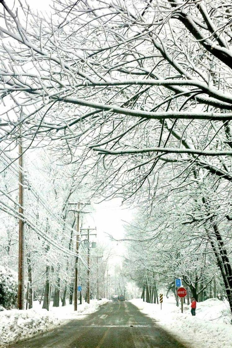 Moda Montreal no inverno ❄