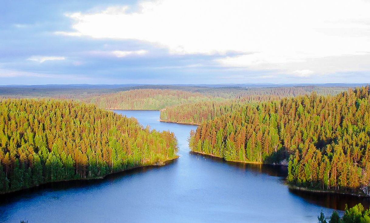Lugar Repovesi National Park