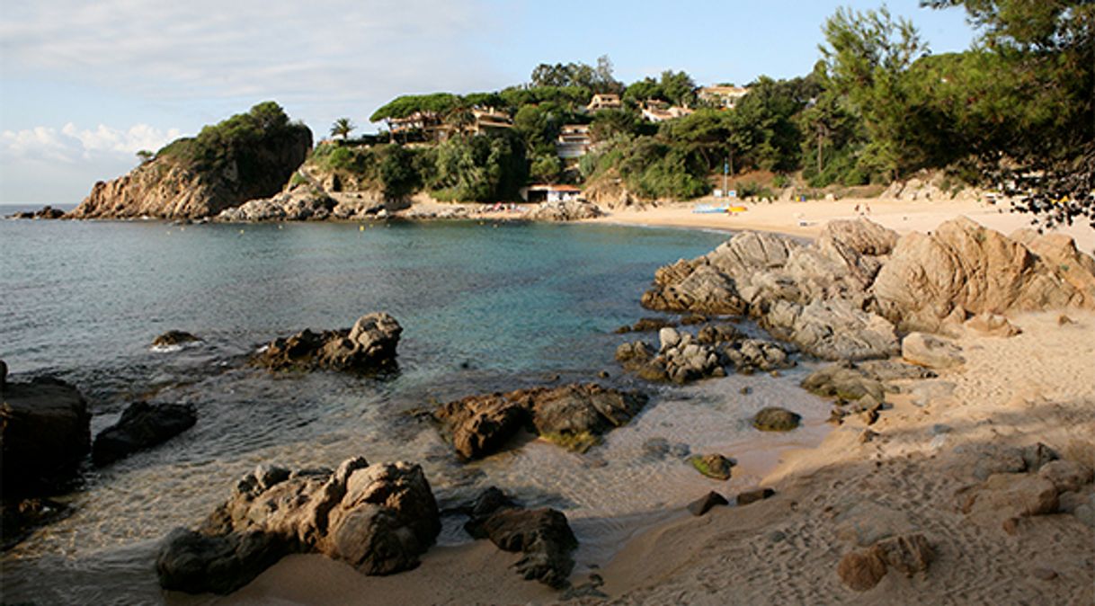 Riera de Blanes