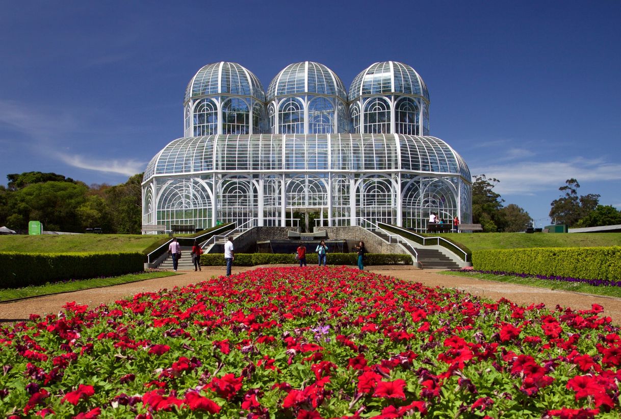 Lugar Jardim botânico 