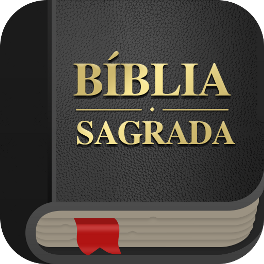 Social Bíblia Sagrada 