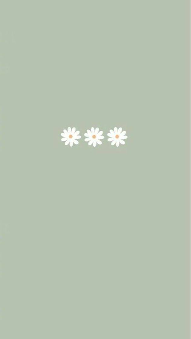 Social Wallpaper