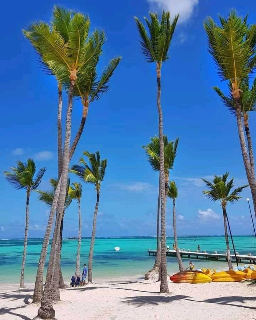 Lugar Punta Cana