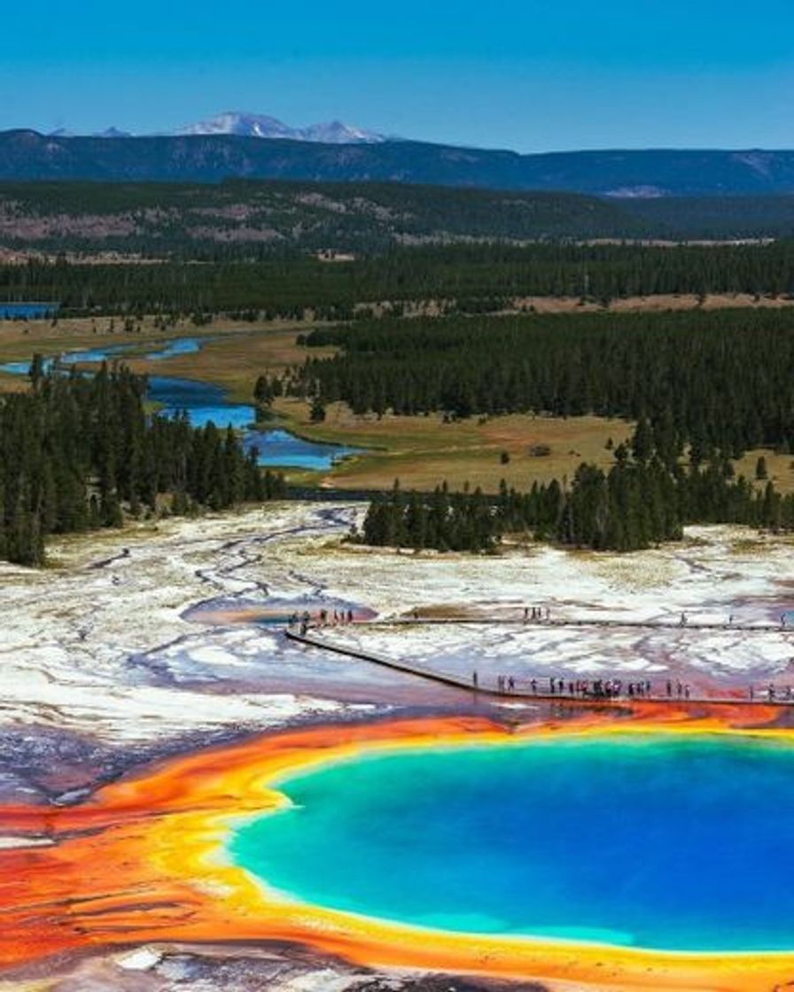 Lugar Parque Nacional Yellowstone