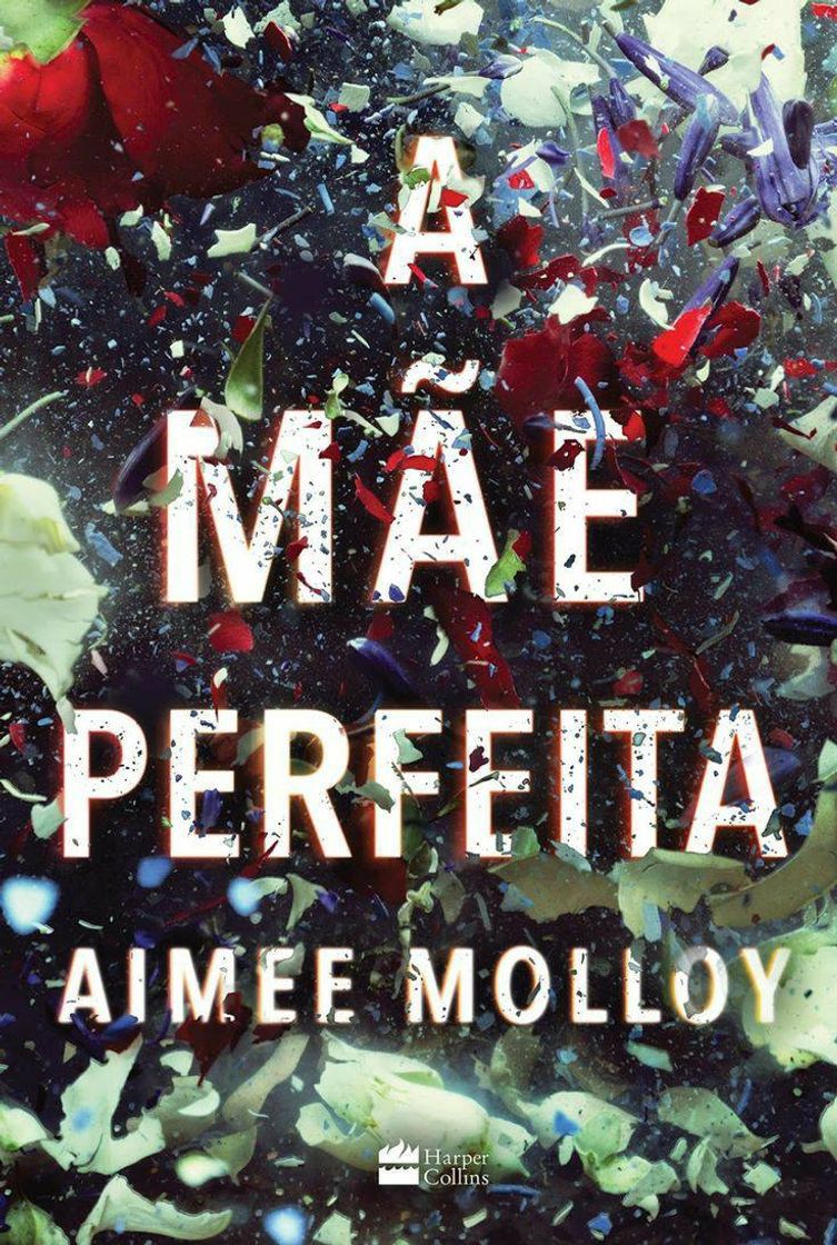 Libro A mãe perfeita