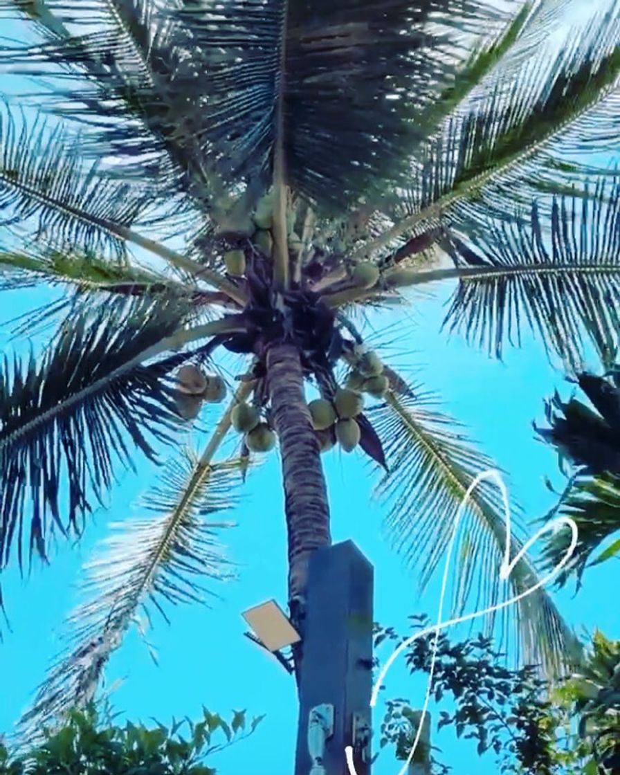 Place Recife