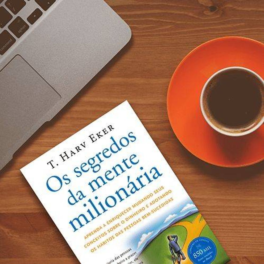 Social Os segredos da mente milionária