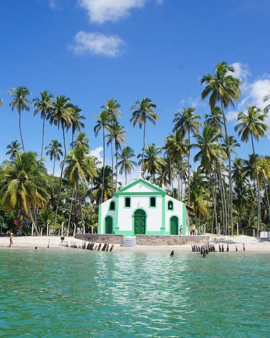 Place Praia dos Carneiros