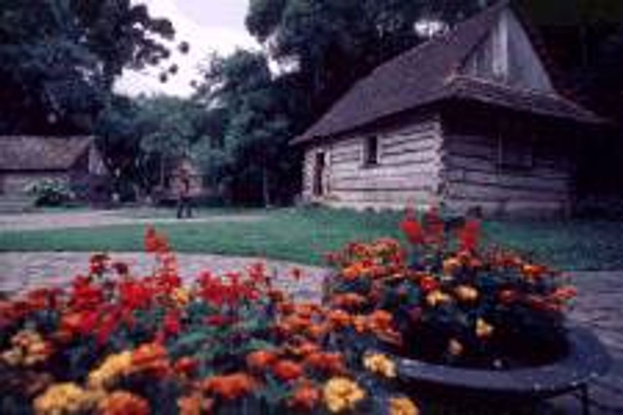 Lugar Bosque Papa João Paulo II