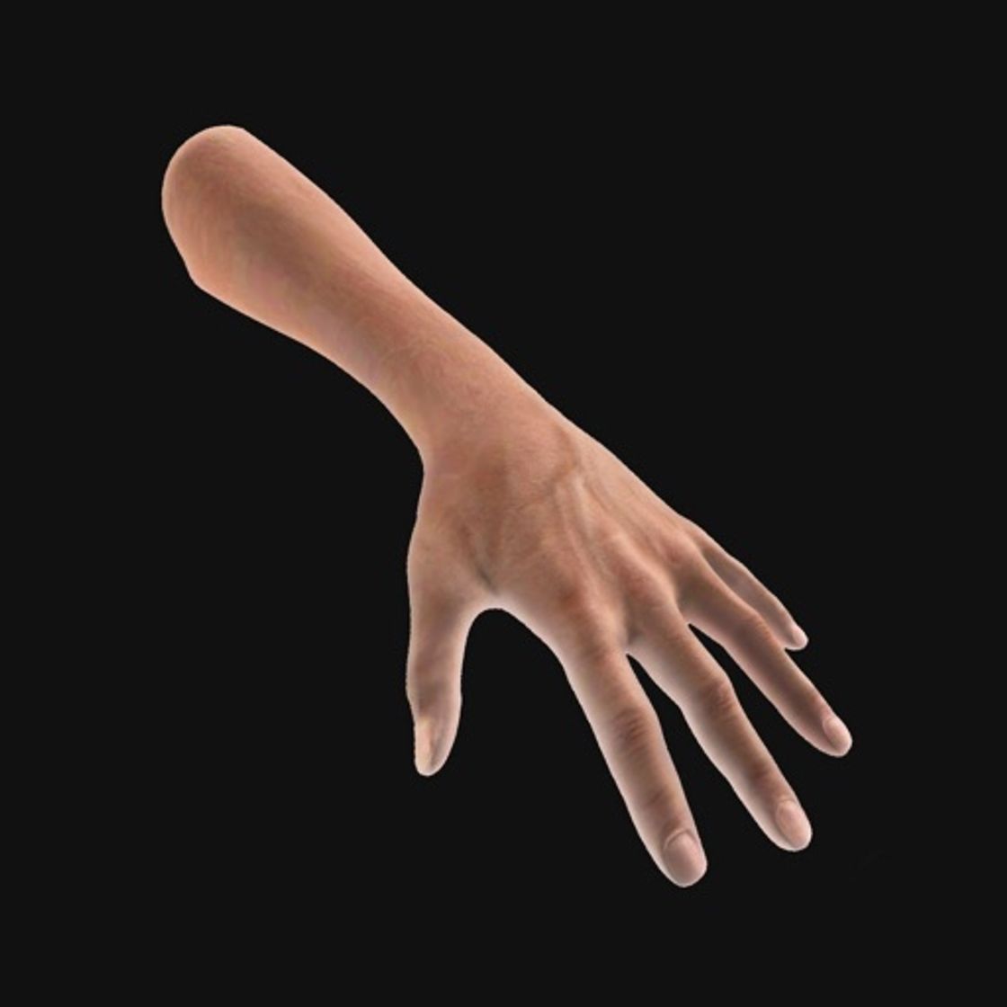 App Hand Draw 3D Pose Tool