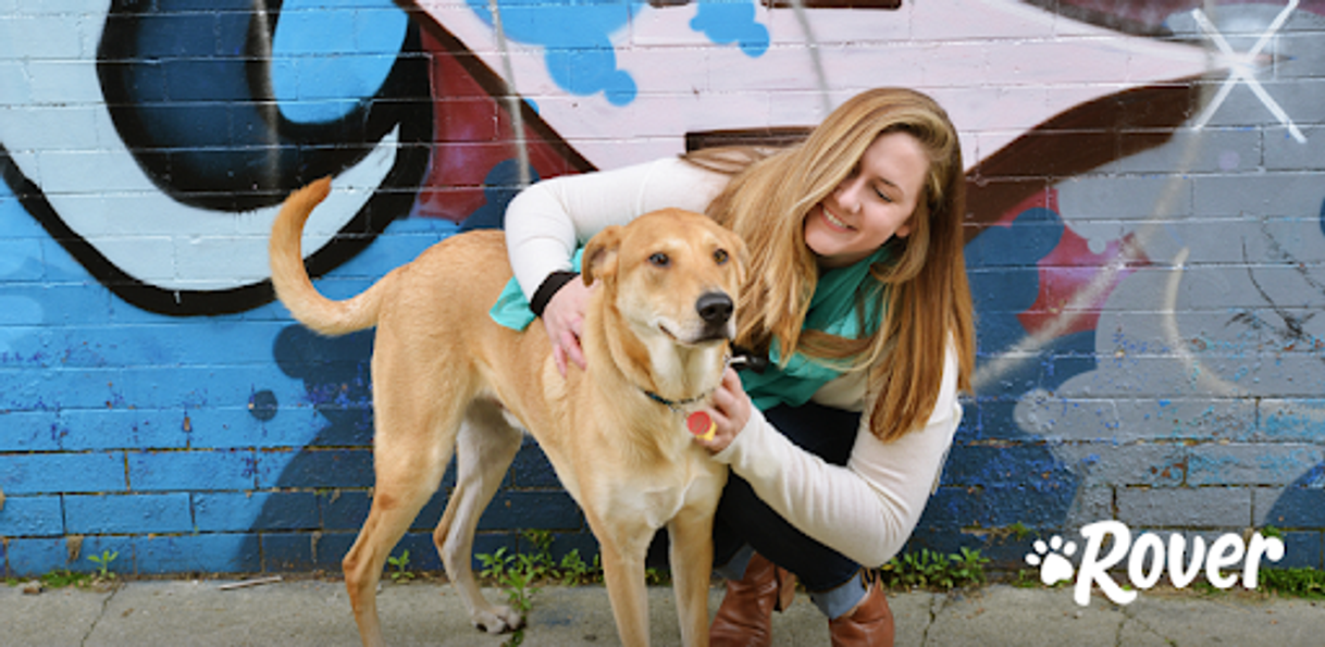 App Rover App para Pasear Mascotas