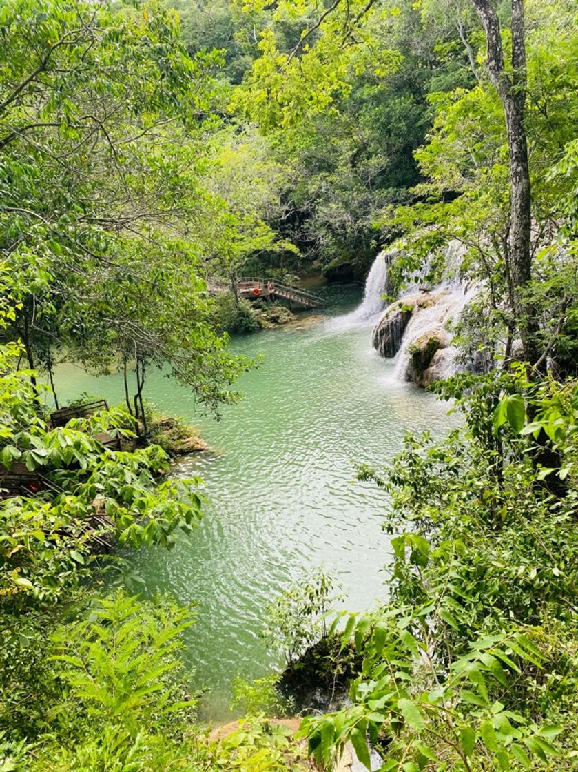Place Estância Mimosa Ecoturismo - Cachoeiras em Bonito, MS