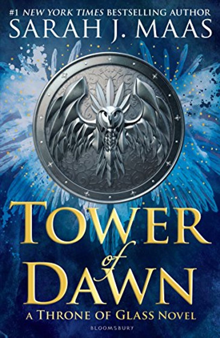 Libro Tower of Dawn