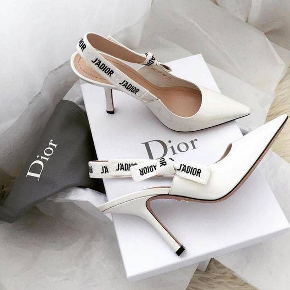 Fashion Dior | @laisouzaxx