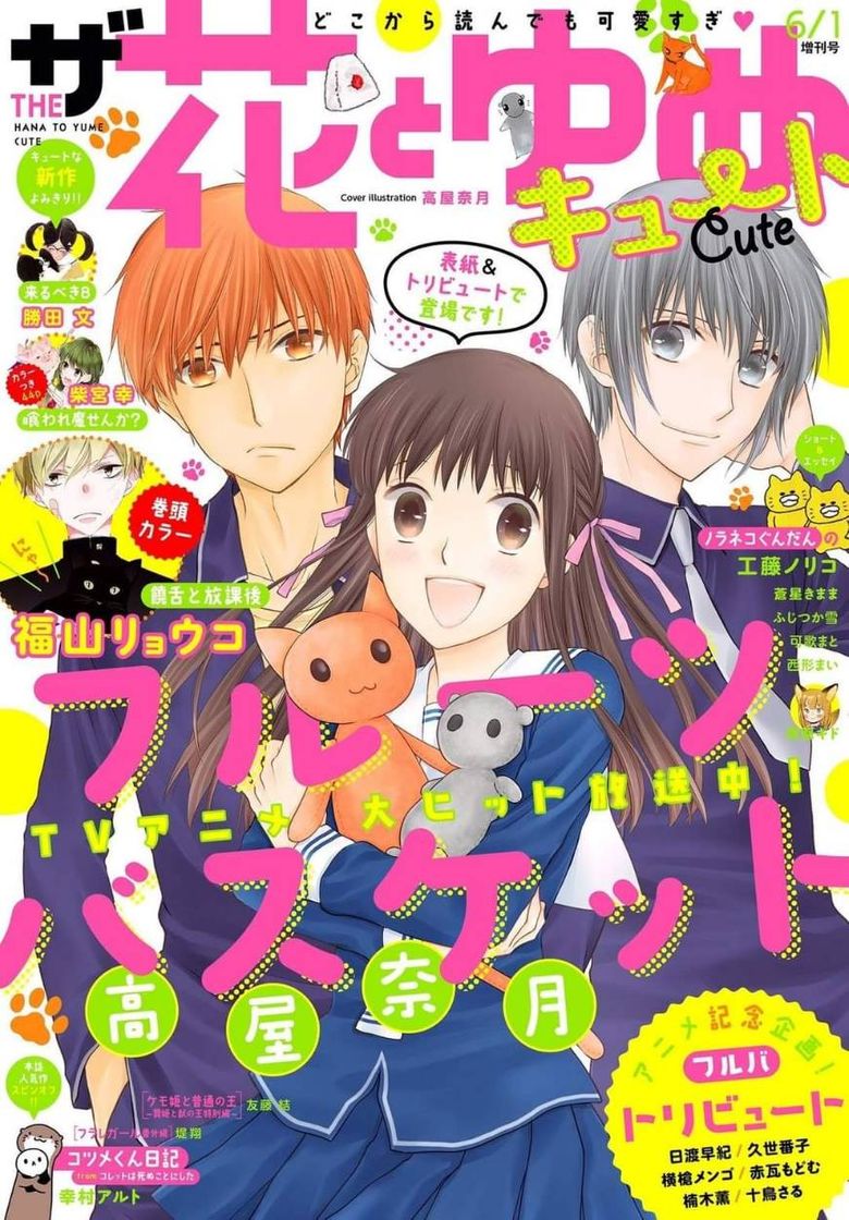 Serie Fruits basket