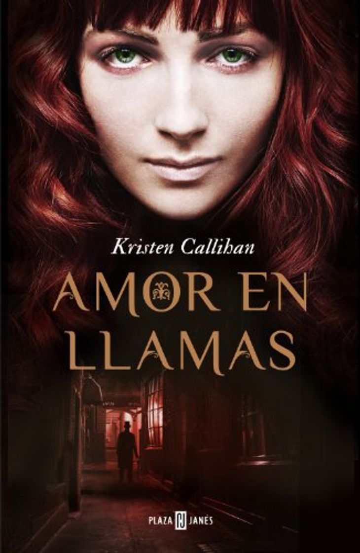Book Amor en llamas