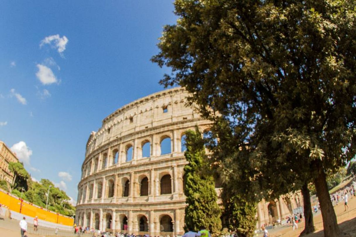 Place Coliseo de Roma