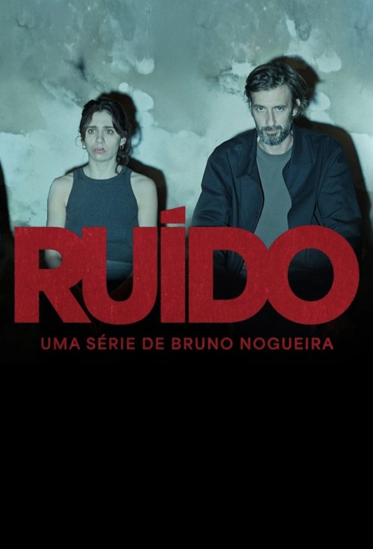 Serie Ruído