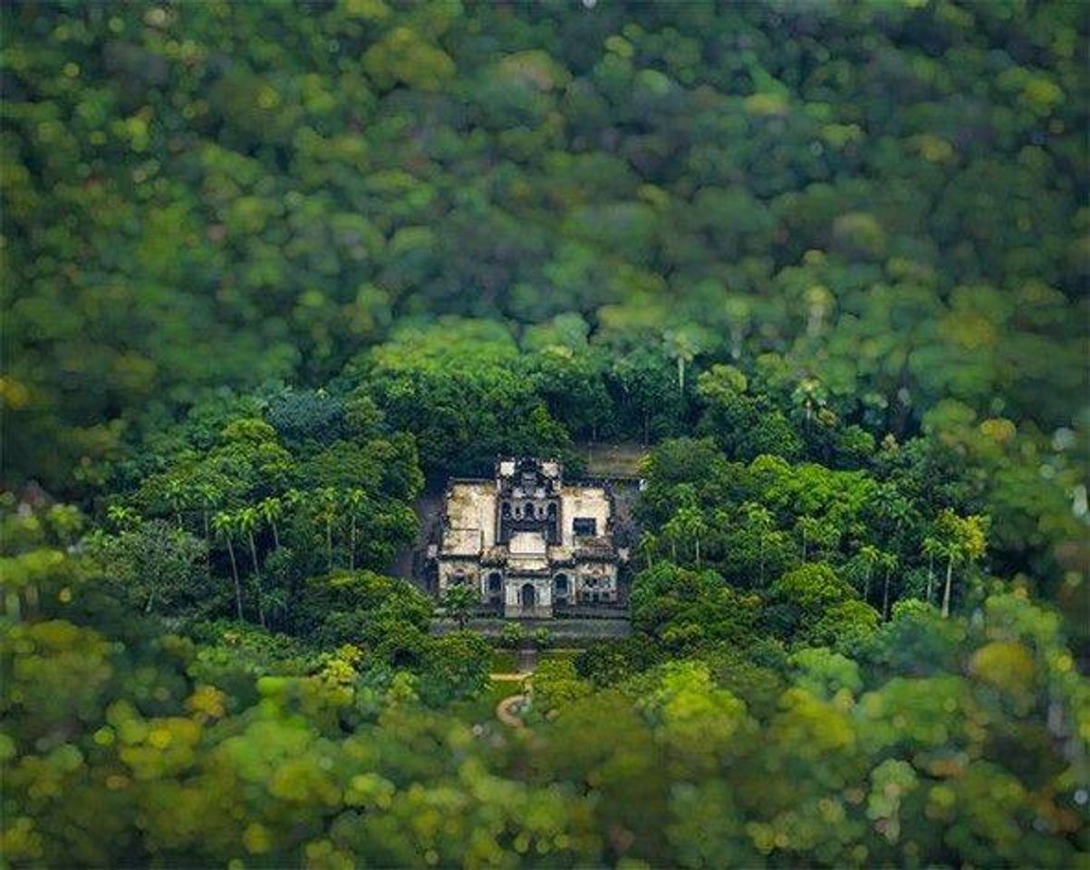 Place Parque Lage