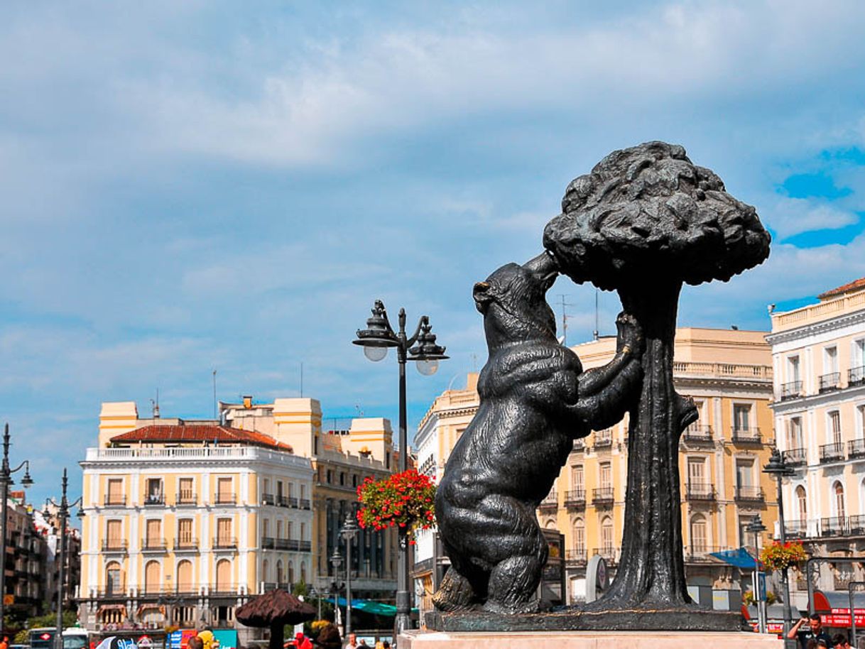 Social El Oso y el Madroño