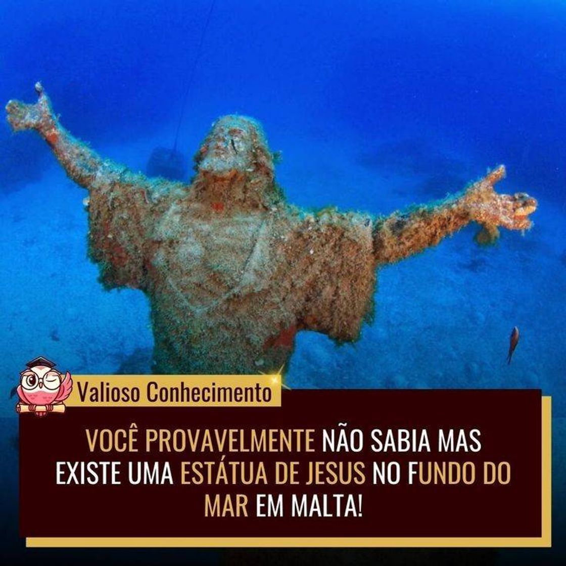 Social estatua no fundo do mar