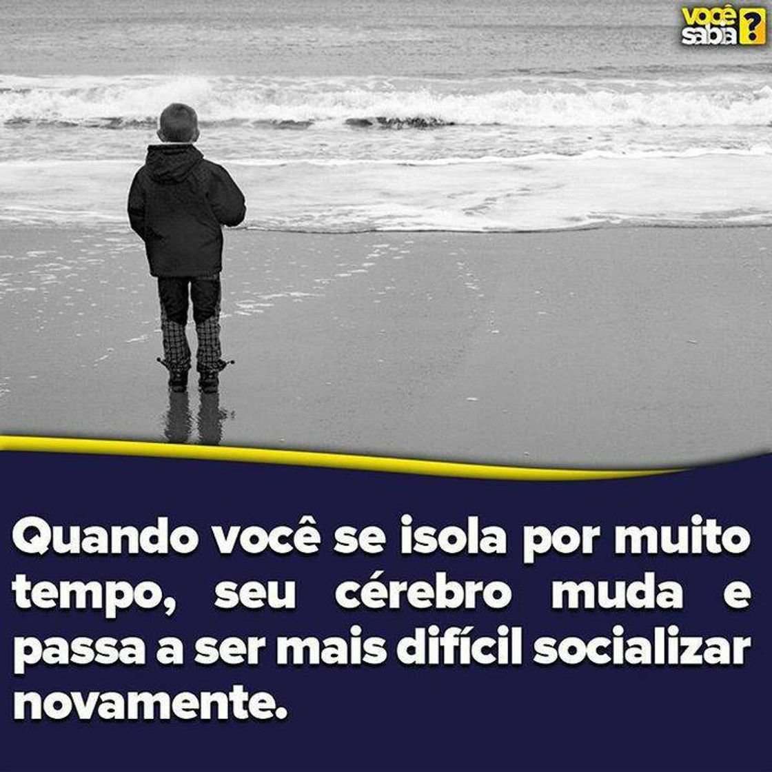 Social socializaçao 