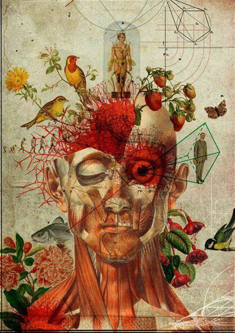 Social wallpaper fantasia anatomica