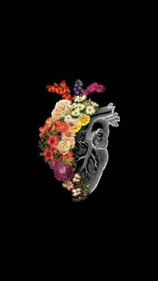 Social walpaper anatomia