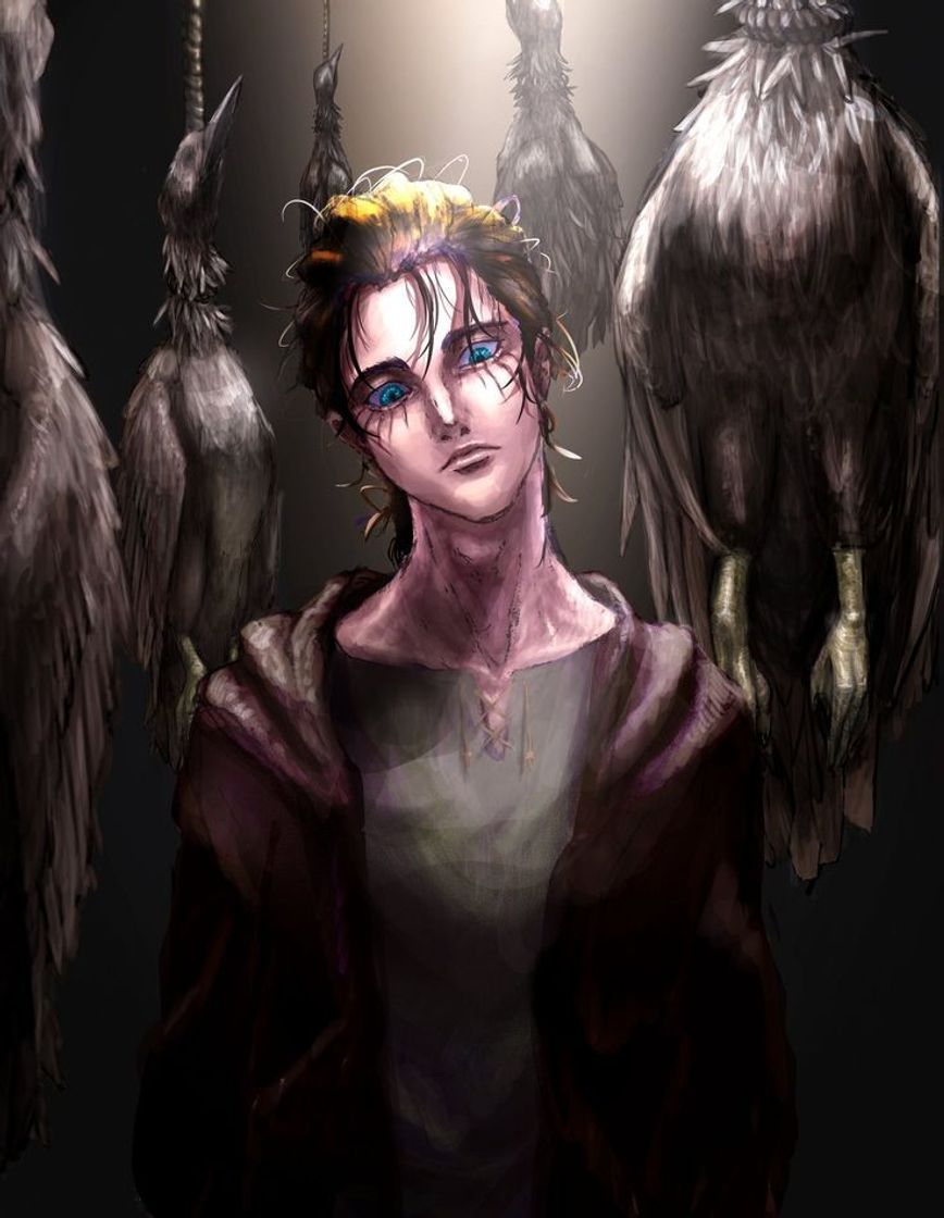 Social Aot