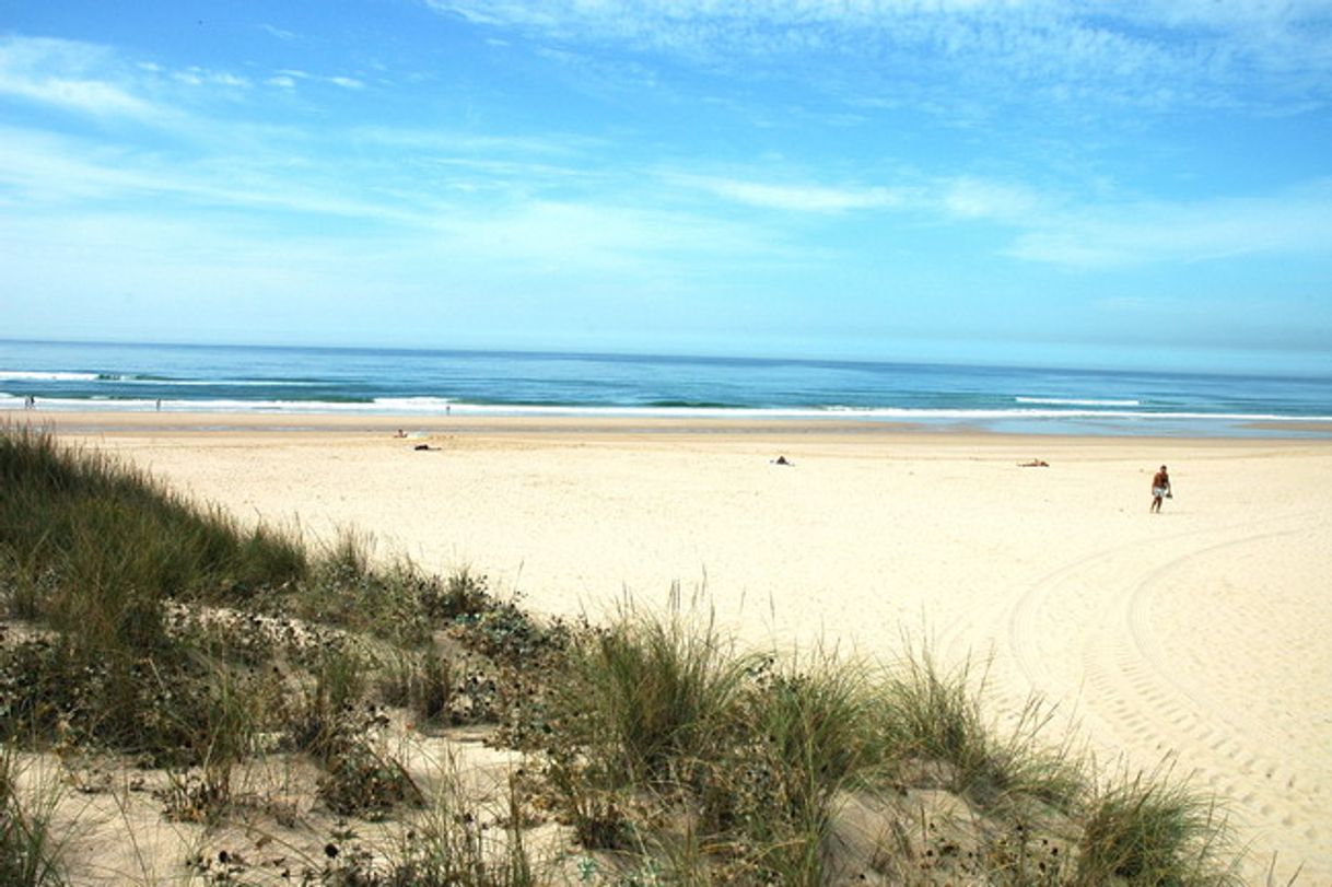 Lugar Praia da Morena