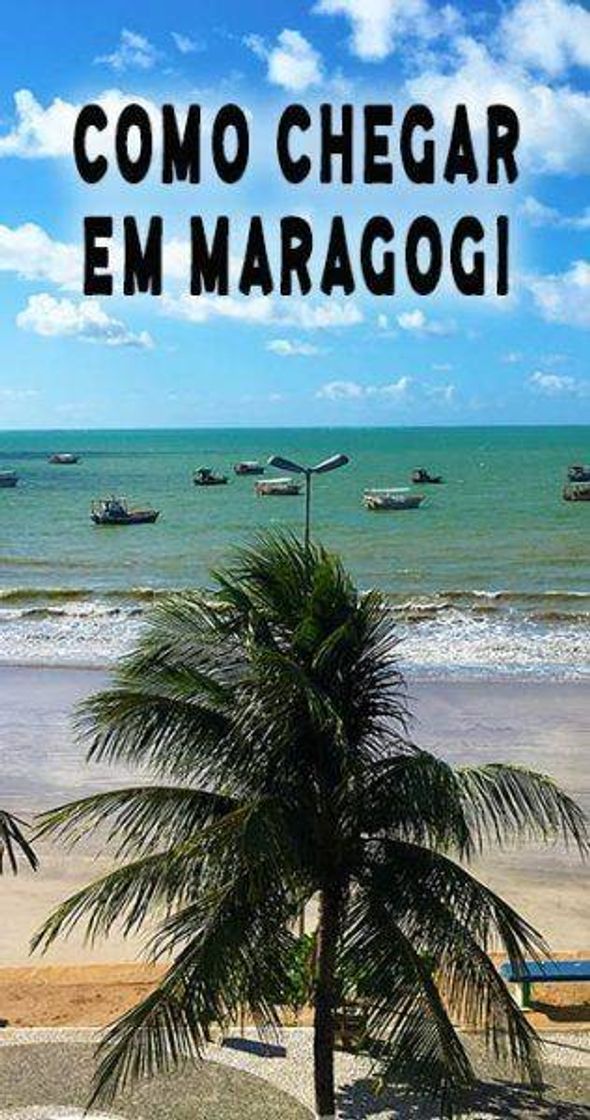 Social Quero viajar 