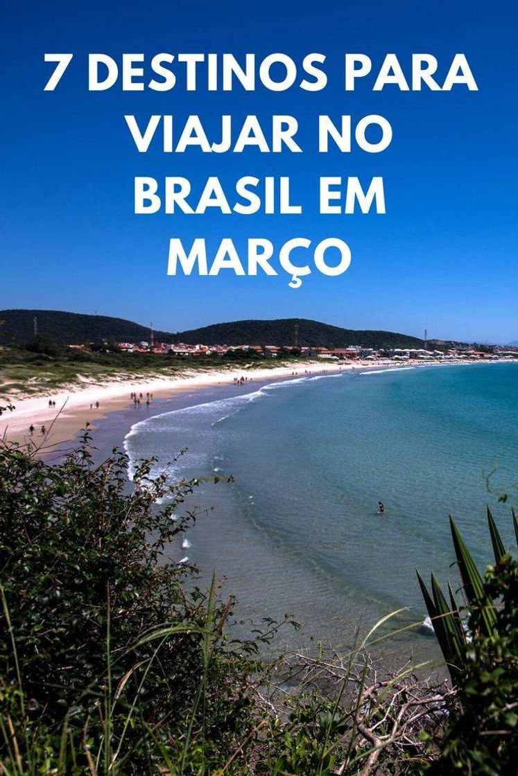 Social Top