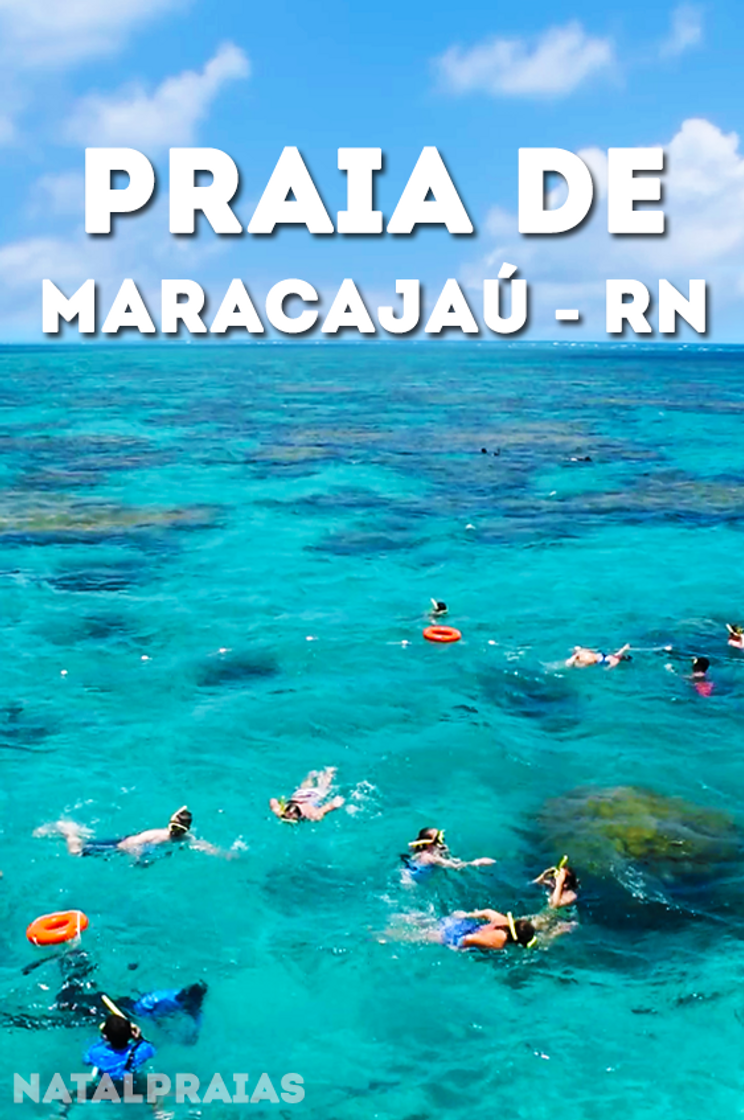 Lugar Praia de Maracajaú