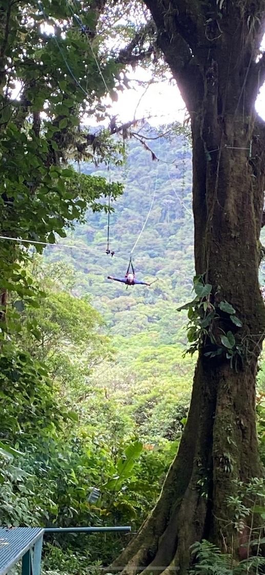 Lugar Monteverde