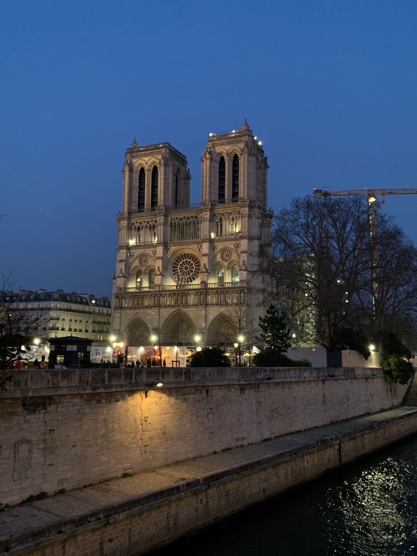 Place Catedral de Notre Dame