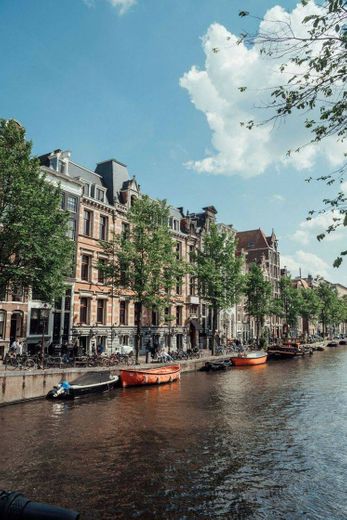 Amsterdam 💜