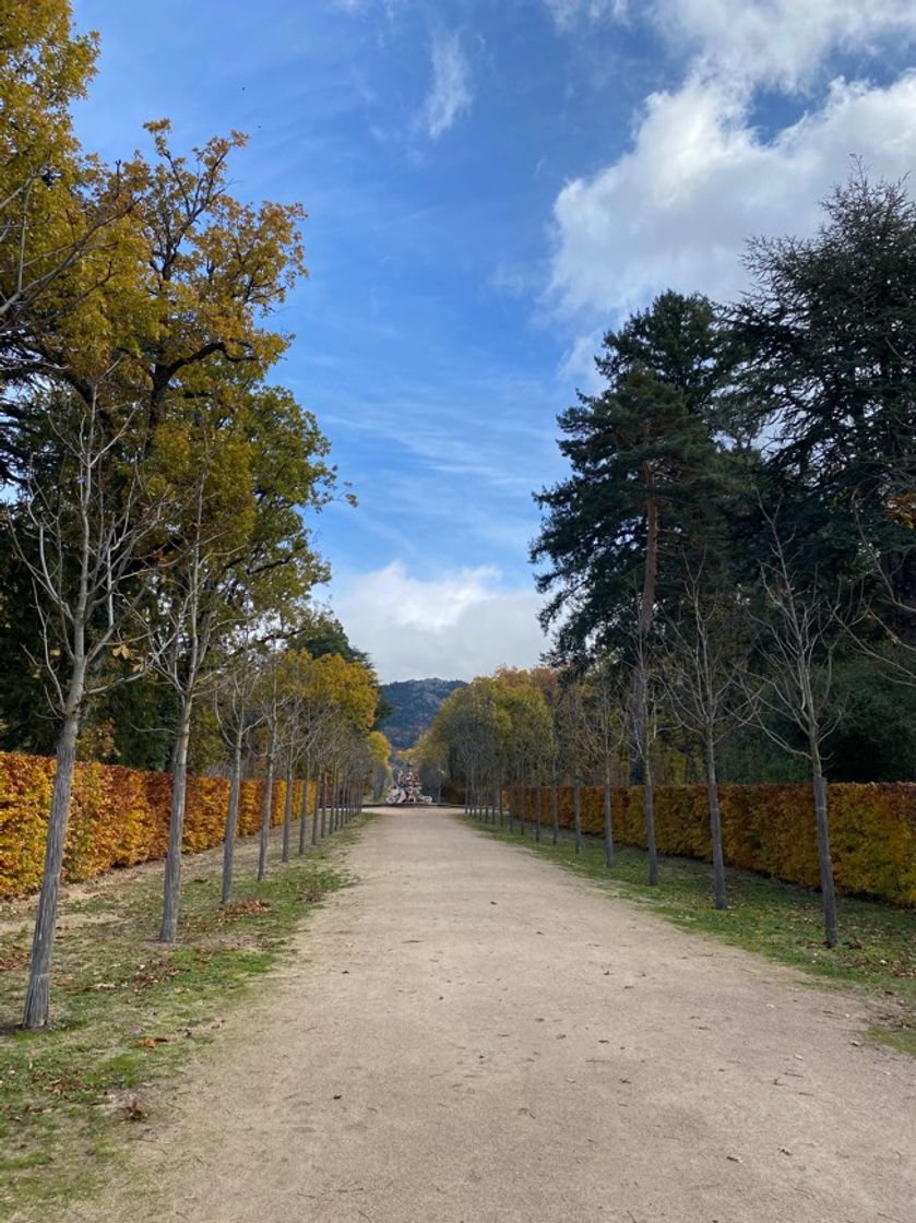 Place La Granja de San Ildefonso