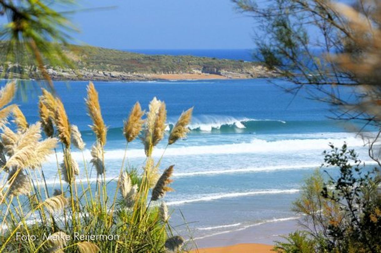 Restaurants LANGRE SURF SCHOOL