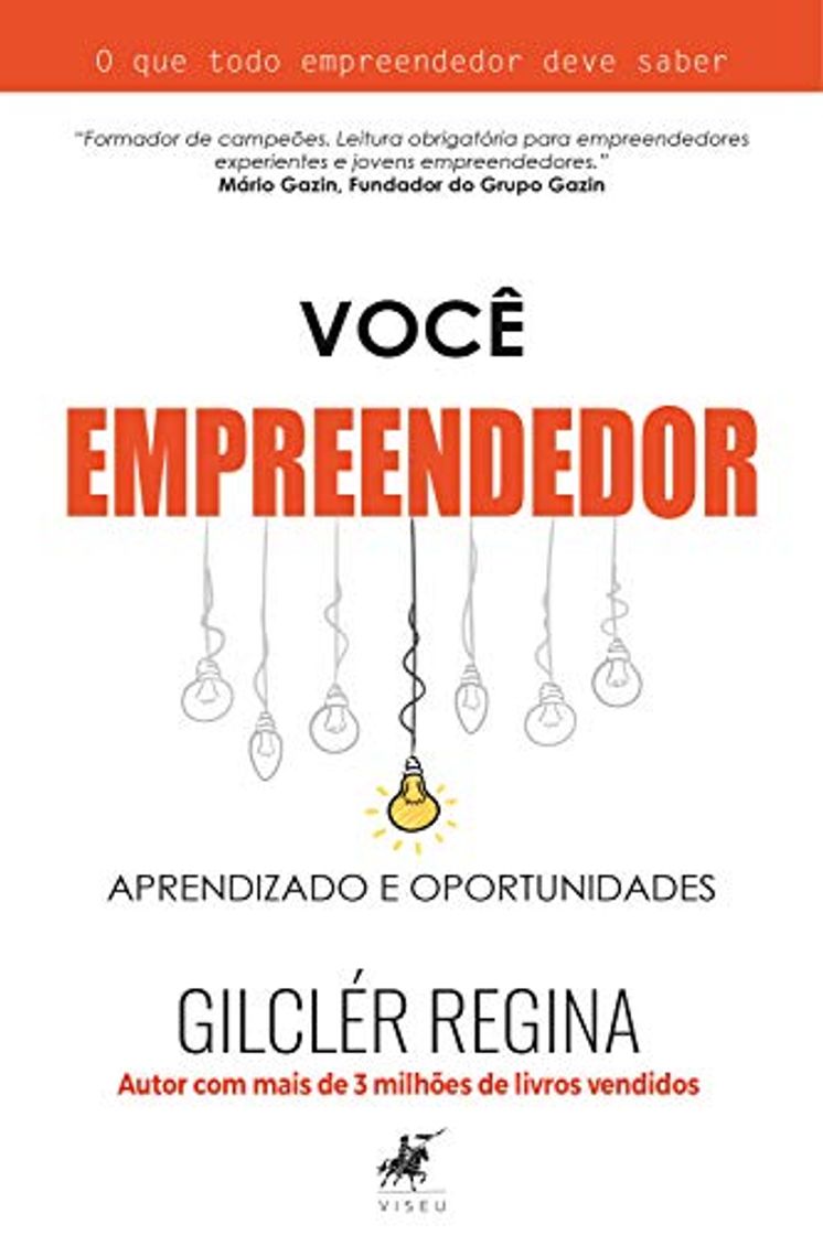 Book Você empreendedor