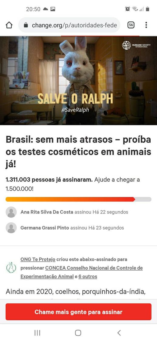 Moda Uso de animais em laboratórios de cosméticos 